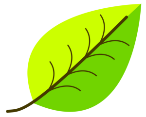 Online Tree UK